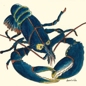 homard_bleu_aquarelle.jpg