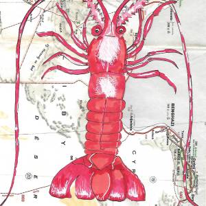langouste_sur_carte.jpg