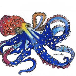 pieuvre_peinte.jpg