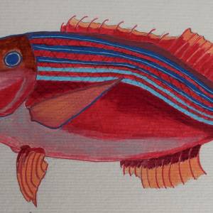 poisson_rouge.jpg