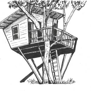 cabane_dans_les_arbres_01.jpg